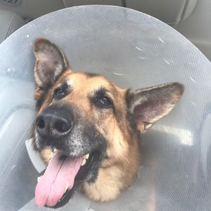 Meet your Posher, Catherine